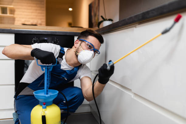 Best Pest Control Near Me  in Schoolcraft, MI