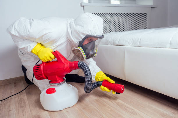 Best Termite Control Services  in Schoolcraft, MI