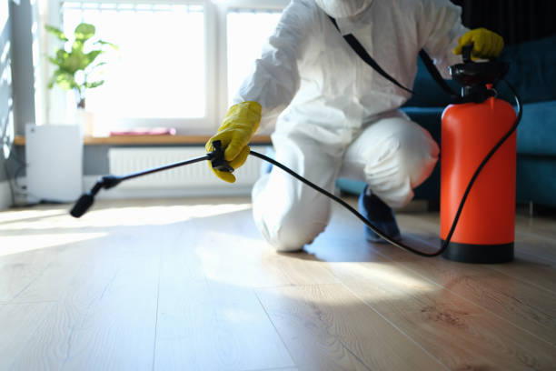 Best Wasp Removal Services  in Schoolcraft, MI