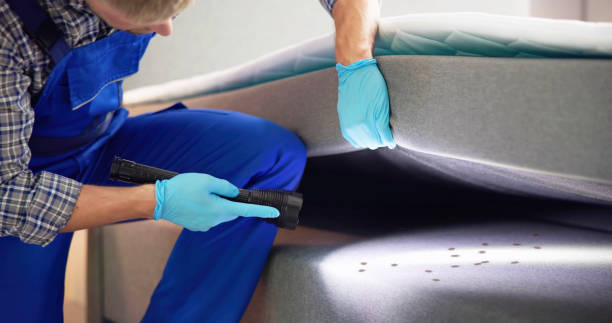 Best Rat Extermination Near Me  in Schoolcraft, MI