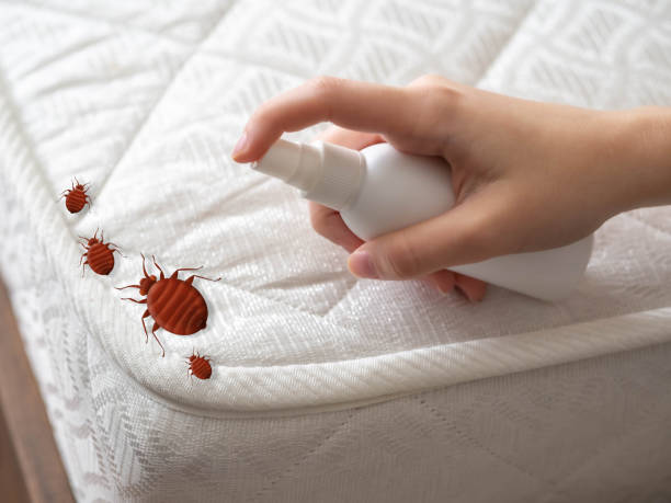 Best Best Pest Control Companies  in Schoolcraft, MI