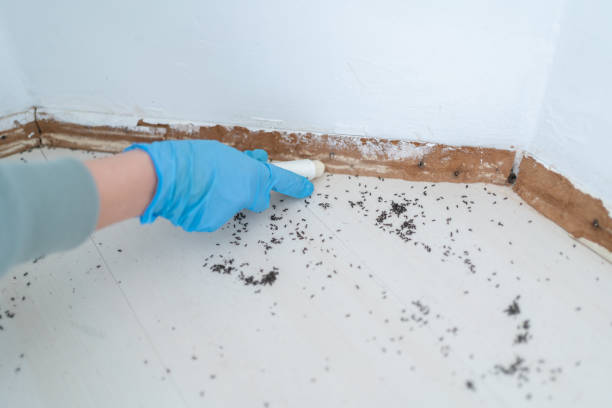 Best Affordable Pest Control Services  in Schoolcraft, MI