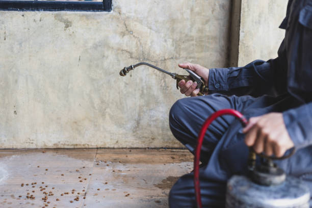 Best Mosquito Control Services  in Schoolcraft, MI